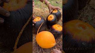 Palm Fruit | Palmyra | பனம்பழம் | 90's Kids #tamilshorts #shortsvideo #allwinjilly