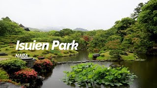 Isuien Park, Nara | Japan Travel Guide