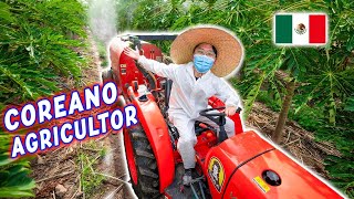 SIENDO AGRICULTOR POR UN DÍA