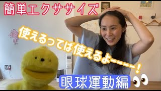 【目の動き】【目の発達】【トリッピーキッズ】親子でできる！簡単エクササイズ！