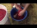 home made currant wine