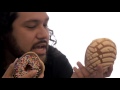 Cinco De Deorro