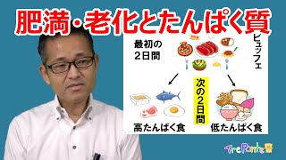 夏見台幼稚園・保育園ビデオニュース　2023年7月号その6「解説：肥満・老化・長寿とたんぱく質の関係がわかった！」