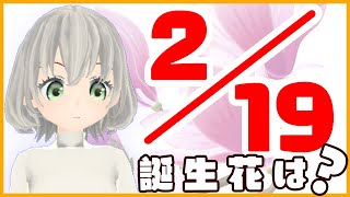 【花言葉】２月１９日の誕生花は？／花白もか