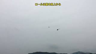 ラジコンヘリ K110S 部品交換後のテストフライトTest flight after parts replacement