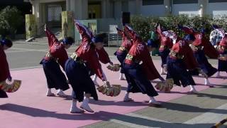 京都さくらよさこい2017安倉おきゃん１