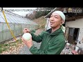 真冬の絶品メロン！プロが教える㊙︎食べ頃テクニック！～岡山・岡山市北区～ 第3代農tuber 板野純也 jaグループ「農tuber」ちゃんねる