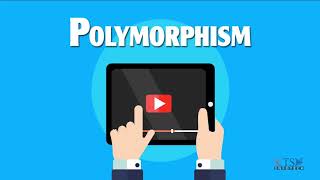 Tutorial 3 | (Part 4) : VB Tutorials | Polymorphism in VB.NET