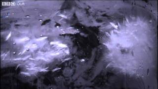 Instant Ice Crystals - The Secret Life of Ice - BBC