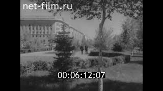 1963г. Волгоград. цветущие деревья