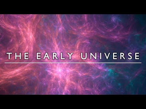 What was the early universe made of?