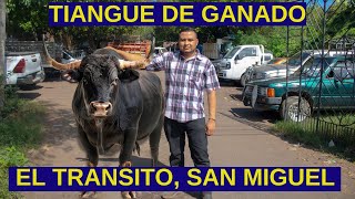 COMERCIO DE ANIMALES EN EL TIANGUE EL TRANSITO / SAN MIGUEL / EL SALVADOR