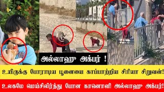 உயிருக்கு போராடிய பூனையை களத்தில் இறங்கி காப்பாற்றிய சிரியா சிறுவன்  வைரலாகும் காணொளி!அல்லாஹு அக்பர்