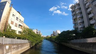 Walking around Kiyosumi-shirakawa-Tokyo-清澄白河駅周辺-4K