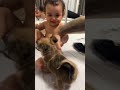 baby vs dog foryou goviral shortvideo viral