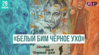 Плакали все: «Белый Бим Чёрное ухо»