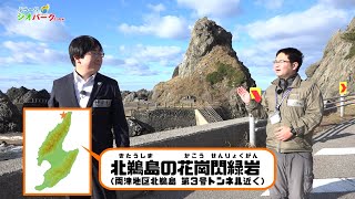 熱々の溶岩で周り石にも変化が…佐渡ジオパークの学芸員が見どころを紹介（ぶら～りジオパークだっちゃ！）