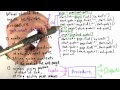 Procedure Code Solution - Intro to Computer Science