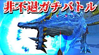 【MHF-Z】非不退ガチバトル！代償絶防火事場片手剣で★4辿異ギアオルグに挑戦！