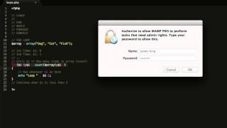 PHP 101 #4 - Loops 1