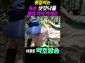 헷갈리는 독초 삿갓나물 절대 먹지마세요 shorts 독초