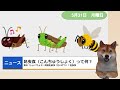 やさしい日本語ニュースわん　5 31「日本は雨の季節　雨がたくさん降った所では気をつけて」「食料問題を解決？昆虫食」「nihongoblog」