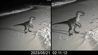 60 Disturbing Extinct Animals and Creatures Caught ALIVE on Camera!