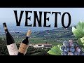 Exploring Italian Wine Regions - Veneto & Valpolicella