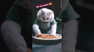 #ah🔗cat🌟ki♥️ meow 💕 short 😻 video 💤 YouTube 🌈 viral 💤