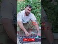 farsi tarot دزد رفته خونشون از لج ر..ید.ه 😂