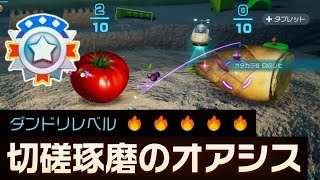 【ピクミン4】切磋琢磨のオアシス　プラチナ　ダンドリチャレンジ　攻略