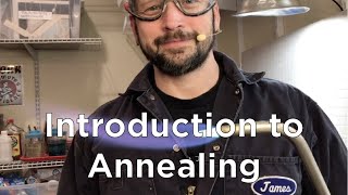 Introduction to Annealing