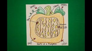 Let's Draw Parts of a Pumpkin!
