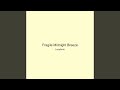 Fragile Midnight Breeze