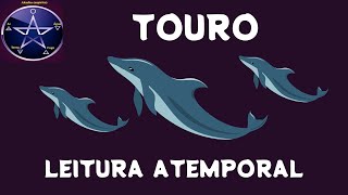 ♉TOURO - CRESCIMENTO MATERIAL E OU AFETIVO- ABEDORIA DE UMA VIDA PASSADA  SENDO UTILIZADA NESTA VIDA