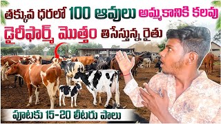 తక్కువ ధరలో 100 ఆవులు అమ్మకానికి ఉన్నాయి//డైరీఫర్మ్ తీసేస్తున రైతు     #hfcowsale #dairyfarm #telugu