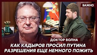 Мировое светило из России Волна о том, почему Белоусов во главе минобороны России выгоден Украине