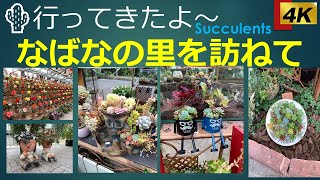 🌵【行ってきたよ～　なばなの里を訪ねて】