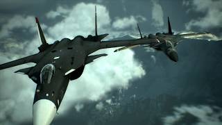 Ace Combat 6 Sukhoi SU-47 Berkut | Northern Soul RETRO gaming