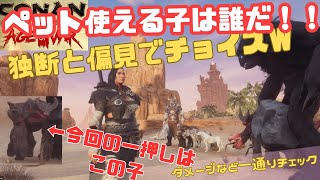 【コナンエグザイル】ペットデータから3体ほど使えそうな子ピックアップ　ダメージデータも出してはいるので参考程度に（2023/12/05）【Conan Exiles/コナンアウトキャスト】