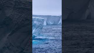 The world's largest iceberg | REUTERS #shorts