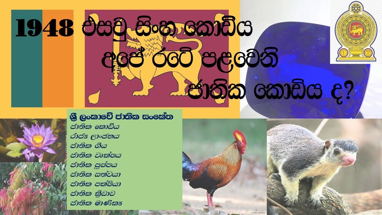 ශ්‍රී ලංකාවේ ජාතික සංකේත. National Symbols Of Sri Lanka #jathika ...