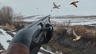 DON SOĞUK HAVADA PARLAMA ÖRDEK AVI 2025! ОХОТА НА УТОК. Mallard Duck Hunting