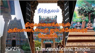 Thiruvanaikaval Jambukeswarar Kovil | திருச்சி | Thiruvanaikovil Jambukeswarar