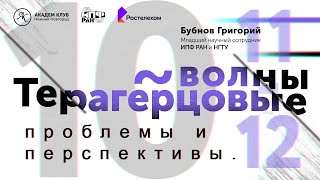 Терагерцовые волны