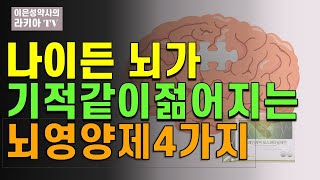 뇌가 쪼그라들지 않기위해 섭취할 뇌영양제  포스파티딜세린 치매예방 인지력 기억력 좋아지는 뇌 영양제 4가지(이은성약사의라키아TV)