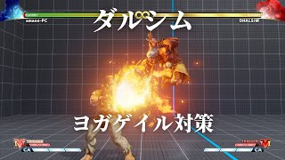 ダルシム ヨガゲイル 対策 ひとくち対策動画(142)