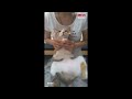 我家貓咪會唸「阿 彌 陀 佛」 my cat can say amitabha in chinese.