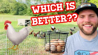 Static Chicken Coop Vs Rotational Grazing Pros and Cons