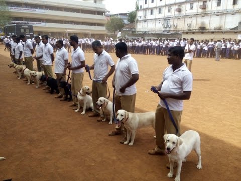 Dog Squad of kerala police.Dog Squad. Dog Training Classes.How to Train Your Dog Dog Squad of kerala police.Dog Squad. Dog Training Classes.How to Train Your Dog